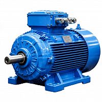 электродвигатель 4вр 100 l6 im2081